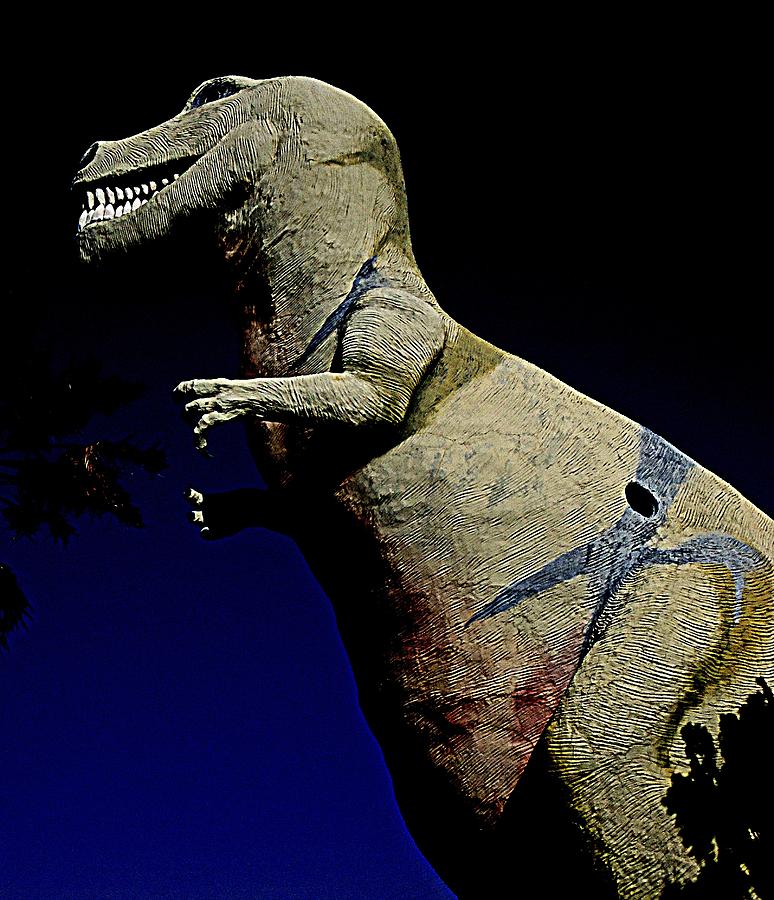 Mr. Rex 3 Photograph by Randall Weidner