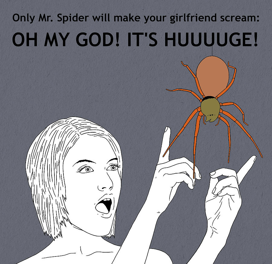 misunderstood house spider meme