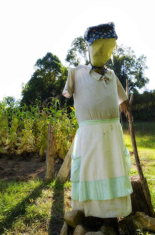 Mrs Scarecrow Photograph by Steve Hurt