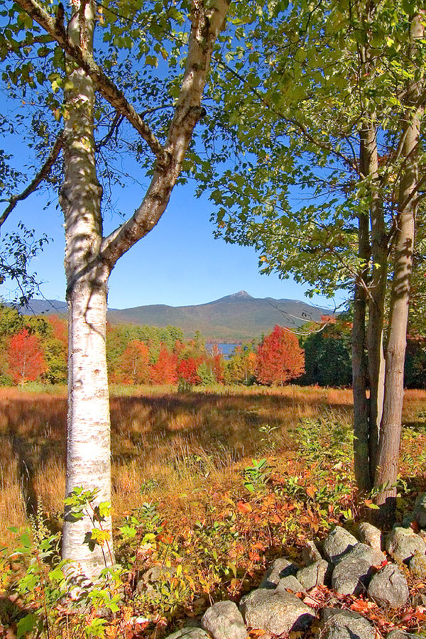Mt. Chocorua Autumn Vertical Photograph by Larry Landolfi