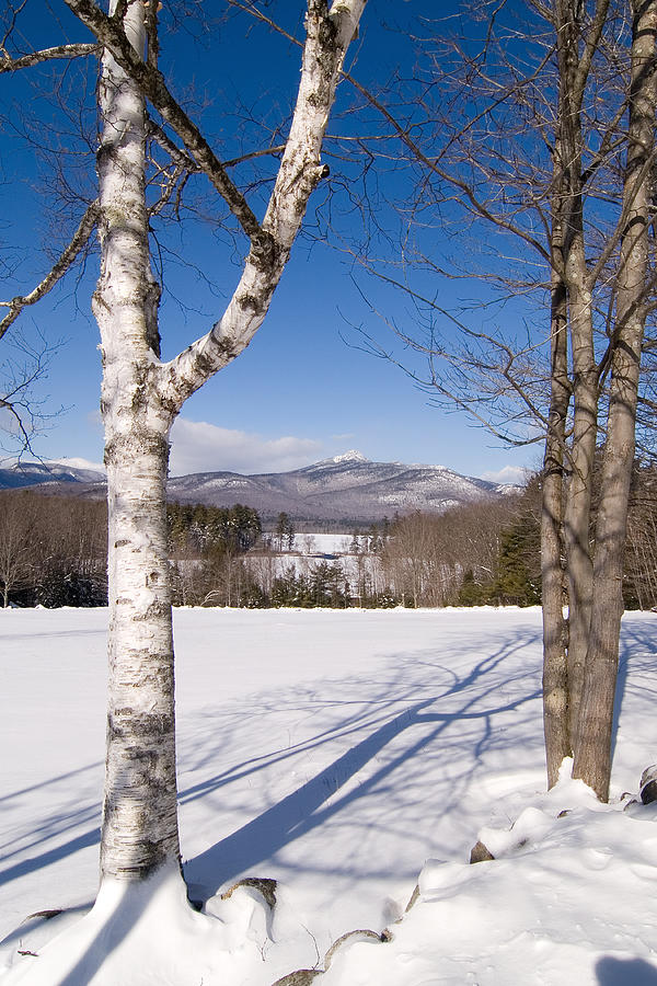 Mt. Chocorua Winter Vertical Photograph by Larry Landolfi