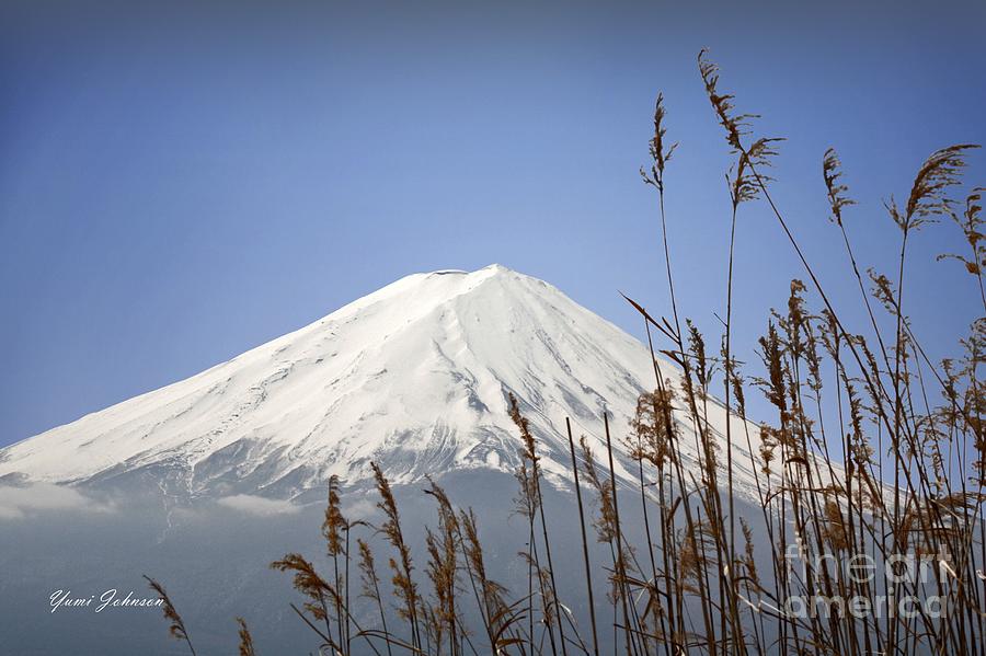 Mt Fuji Photograph by Yumi Johnson