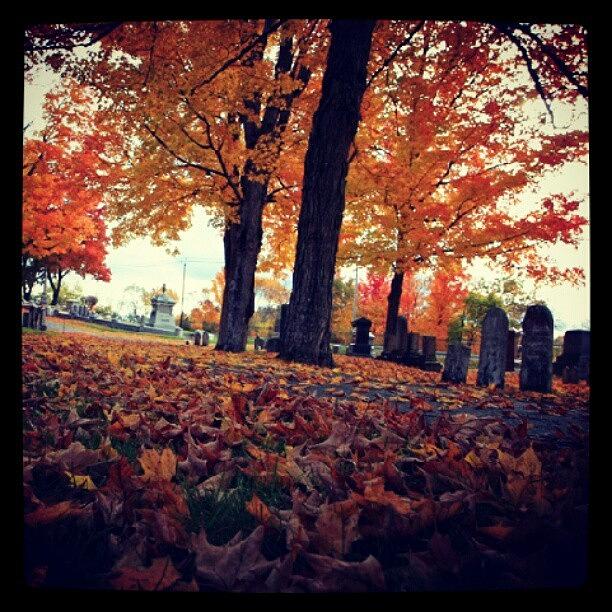 Fall Photograph - Mt. Hope Cemetery / Bangor, Maine - by Sid Graves