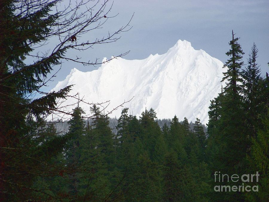 Mt Jefferson Photograph by Charles Robinson