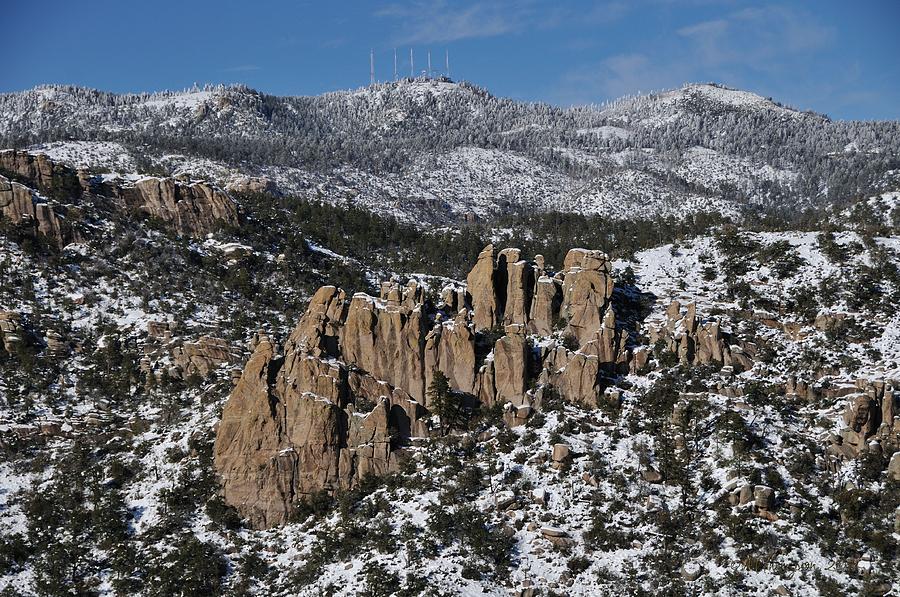 Mt. Lemmon Tucson Arizona Photograph by Martina Thompson