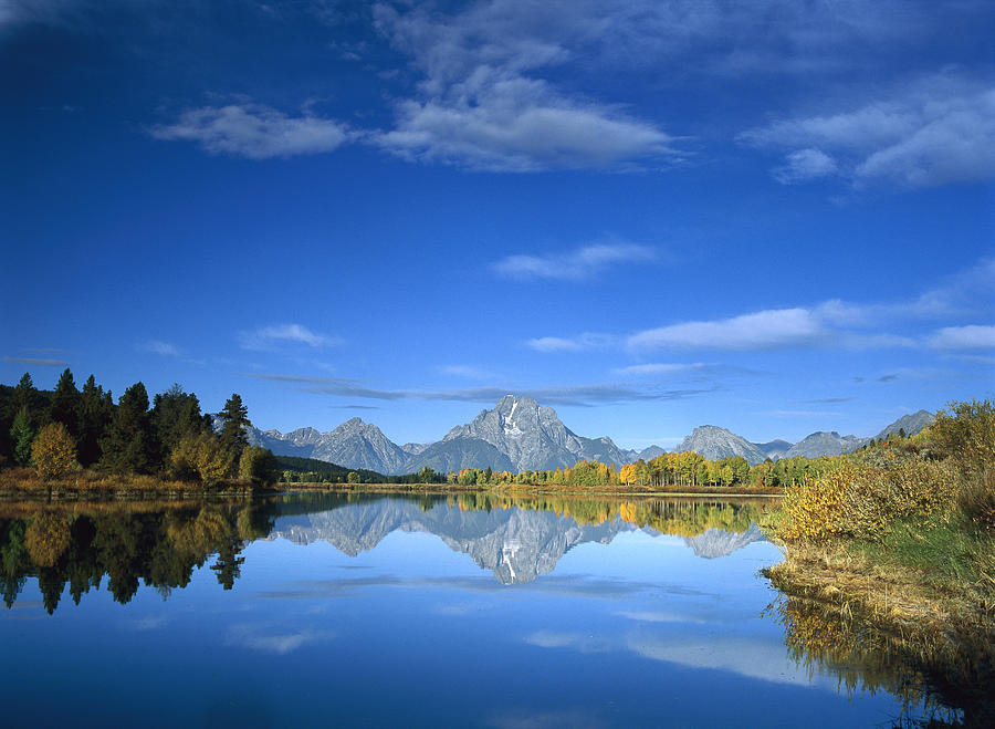 Mt Moran Reflected In Oxbow Bend Grand Photograph by Tim Fitzharris