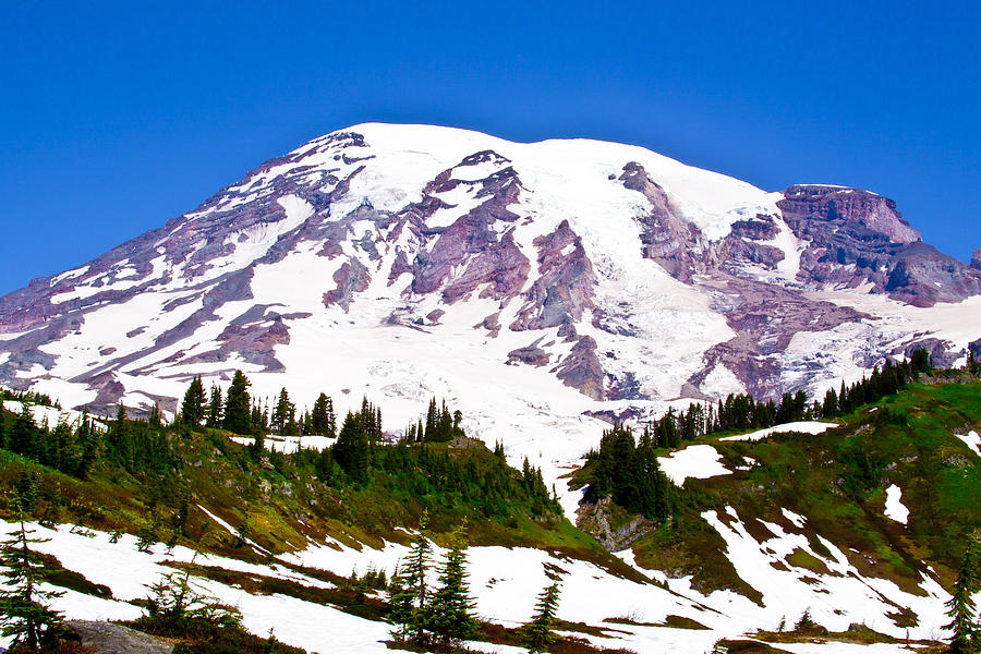 Mt. Rainier - View from Paradise  Photograph by David Patterson