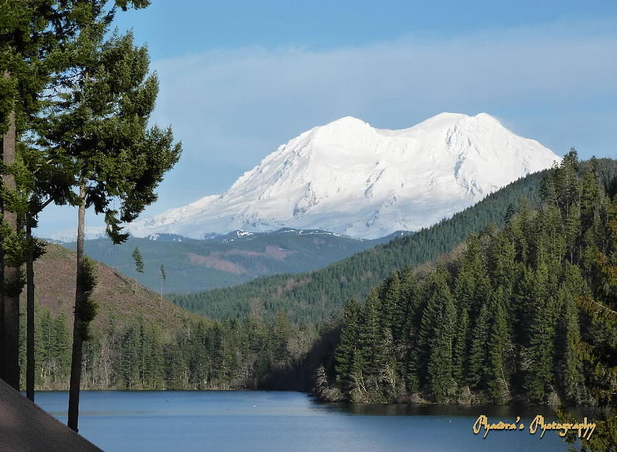 Mt. Rainier from Mineral Lake Photograph by A L Sadie Reneau