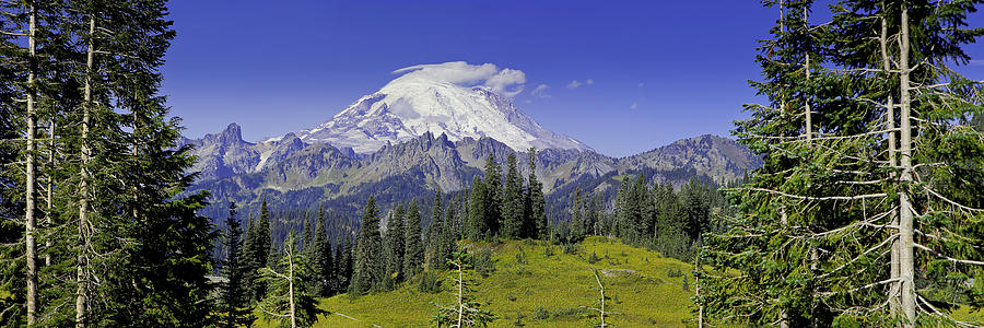 Mt. Rainier from the east. Photograph by Fred J Lord