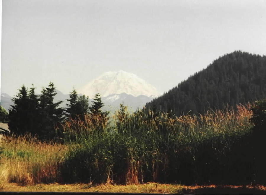 Mt. Rainier in Hiding Photograph by A L Sadie Reneau
