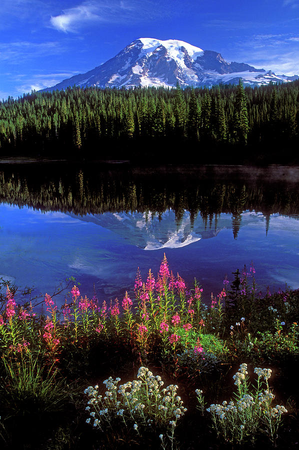 Mt Ranier and Reflection Lake Photograph by Dave Mills