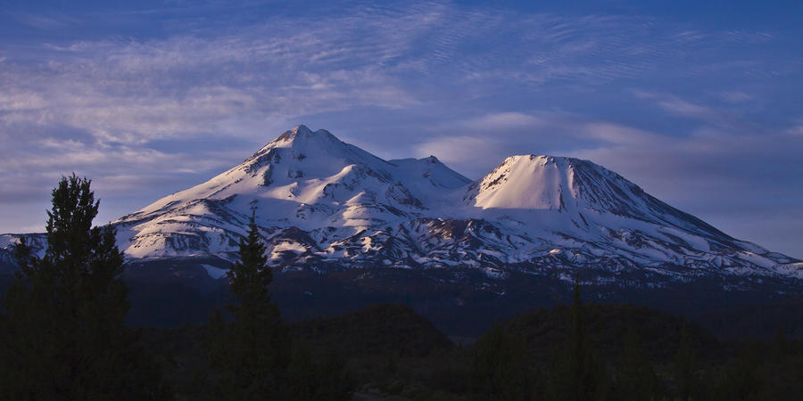 Mt Shasta Photograph by Albert Seger