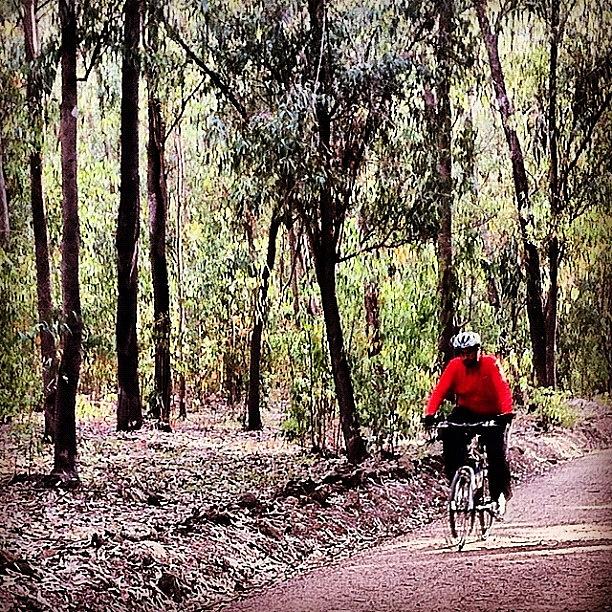 Nature Photograph - #mtb #vtt #cycle #cycling #forest by Soredewa Seitai