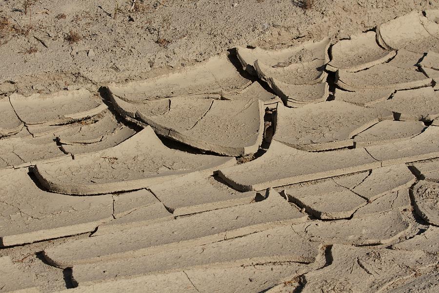 mud-curls-photograph-by-holst-photography-pixels