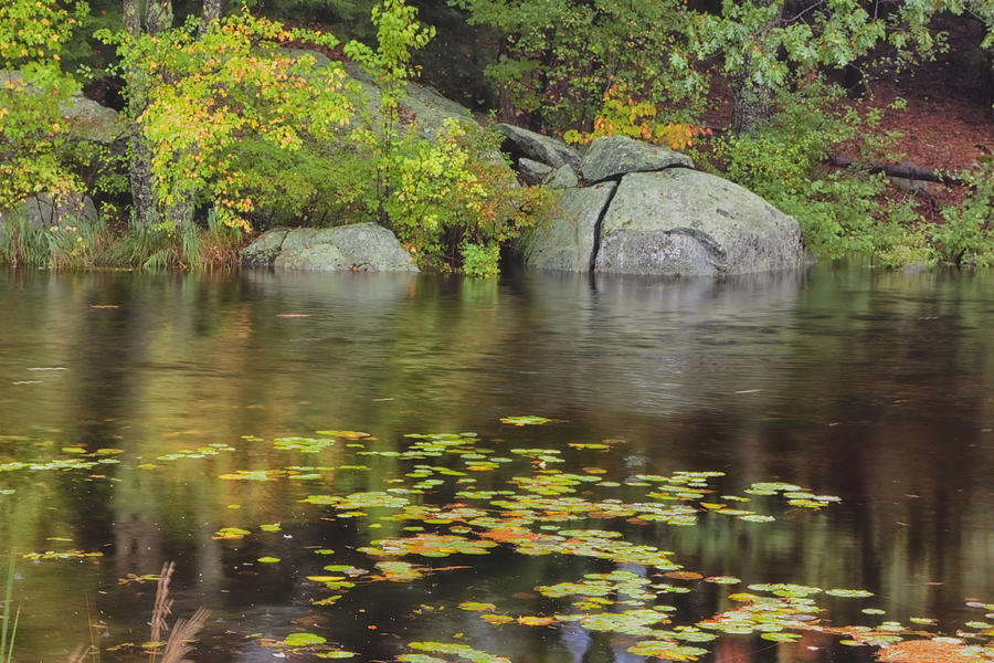 Mud Pond Autumn Photograph by Tom Singleton