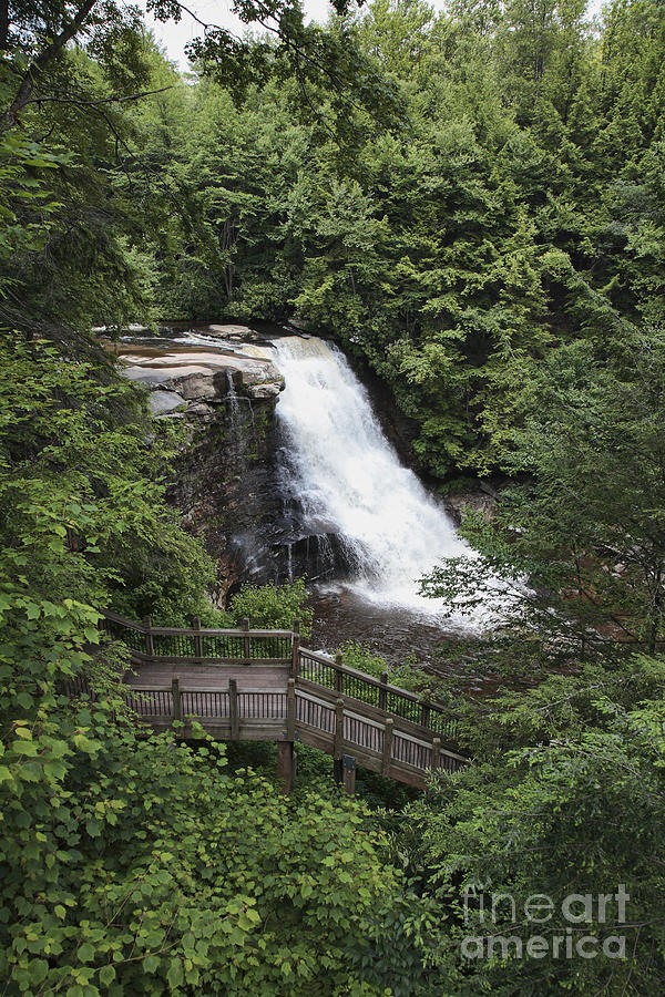Muddy Creek Falls at Swallow Falls State Park in western Maryland Photograph by William Kuta