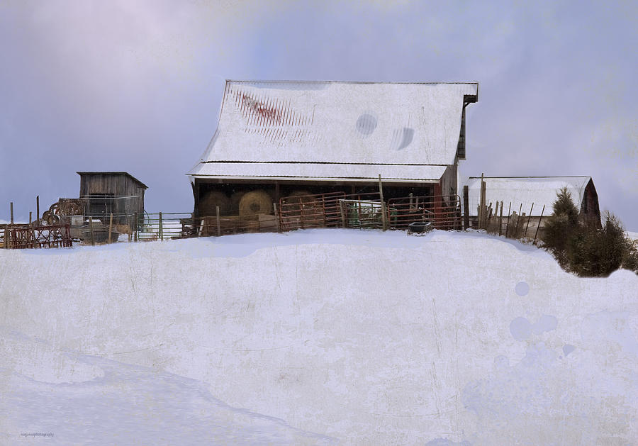 Winter Photograph - Muellers Barn by Ron Jones