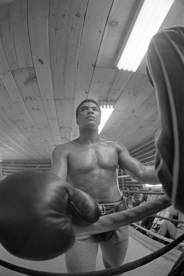 Muhammad Ali Big Glove Photograph by Jan W Faul