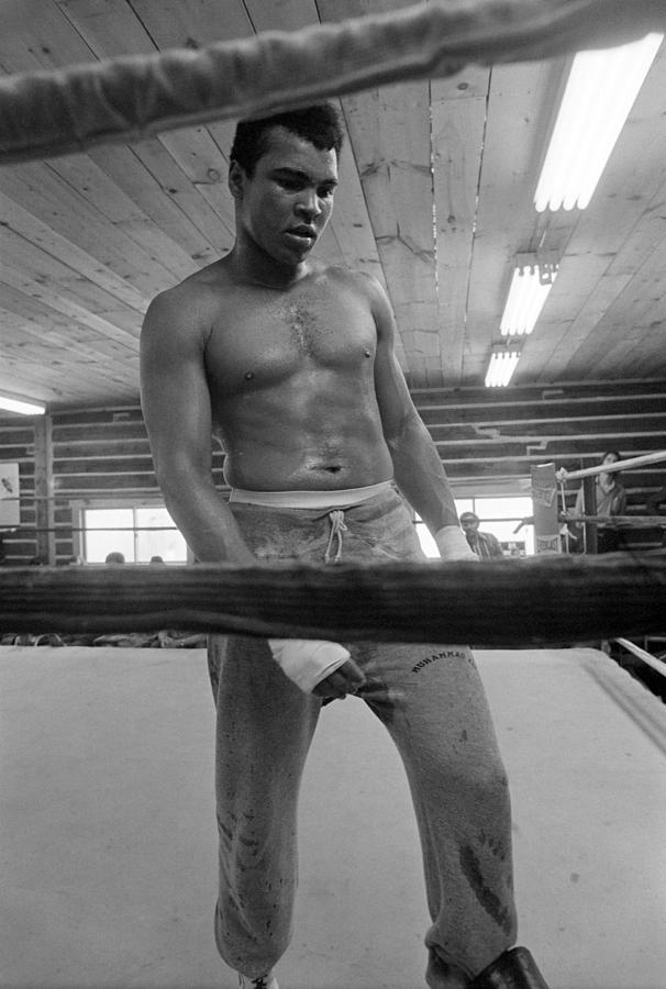 Muhammad Ali Ponders his future Photograph by Jan W Faul