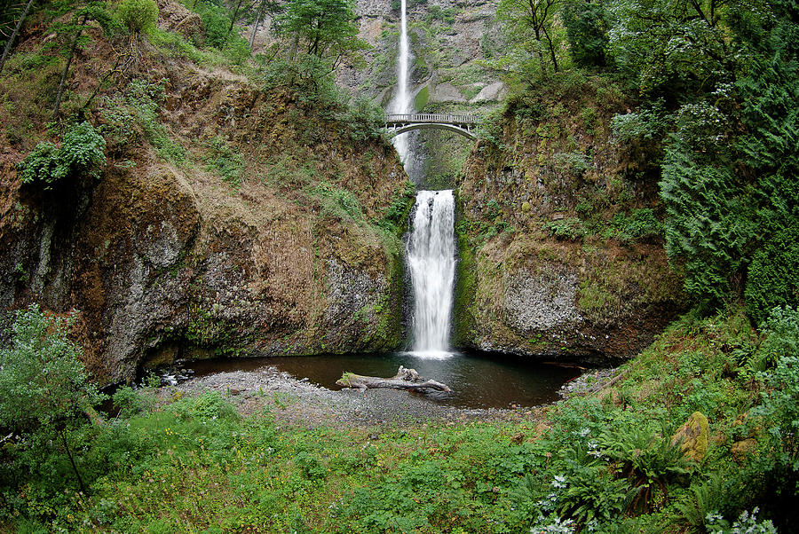 Multnomah Falls - Wide View Photograph by Greg Nyquist