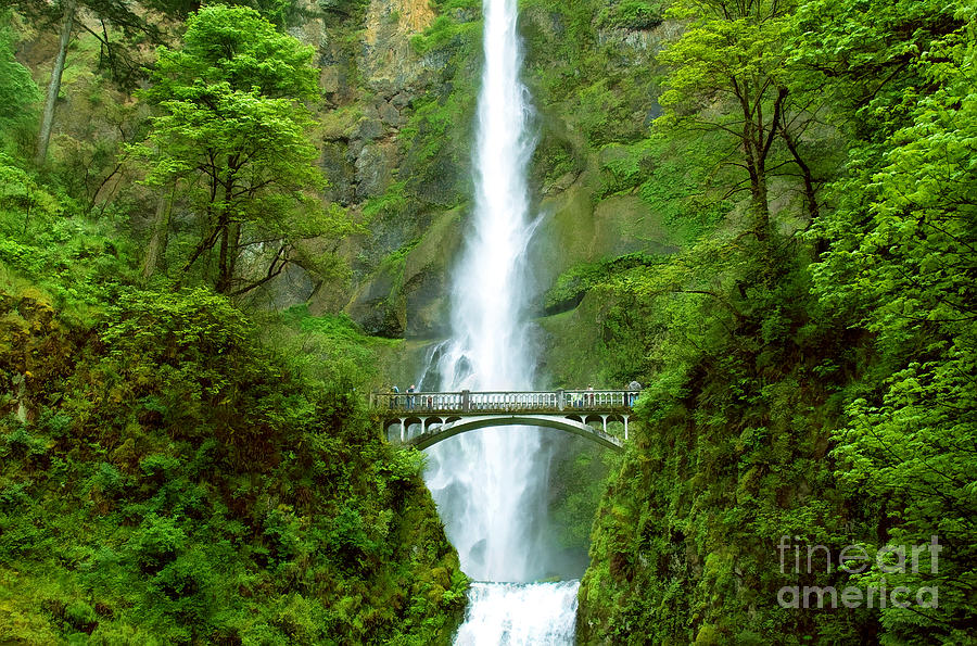 MULTNOMAH FALLS BRIDGE with sightseers close to falls Photograph by Sherry  Curry