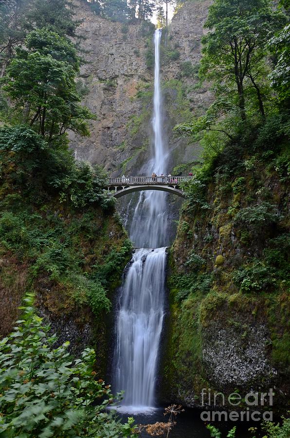 Multnomah Falls Photograph by Cassie Marie Photography