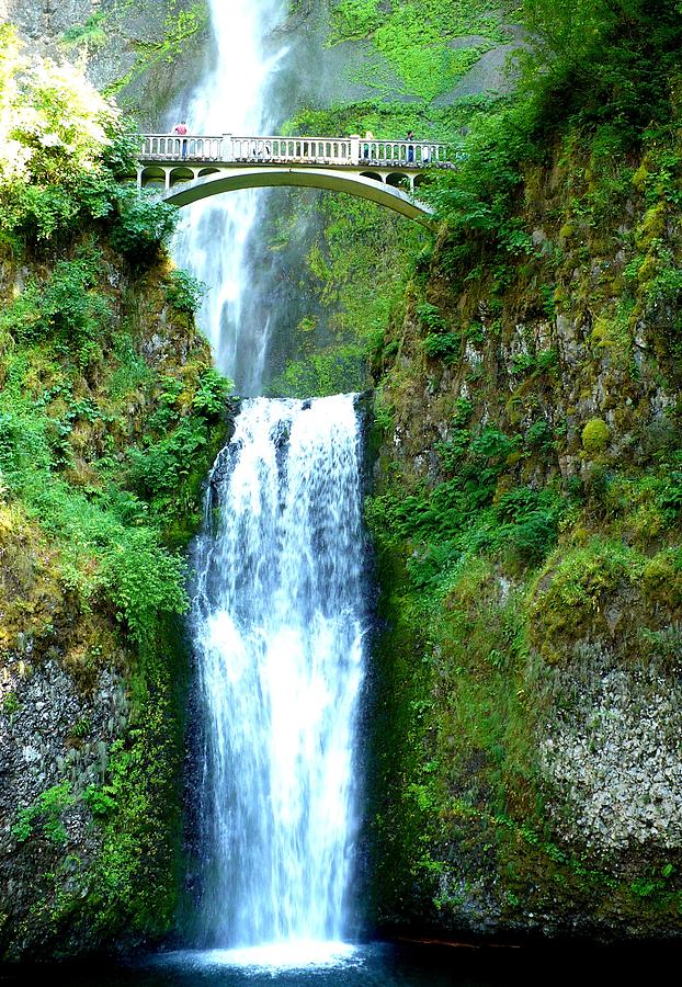 Multnomah Falls Photograph by Chad Rice - Fine Art America