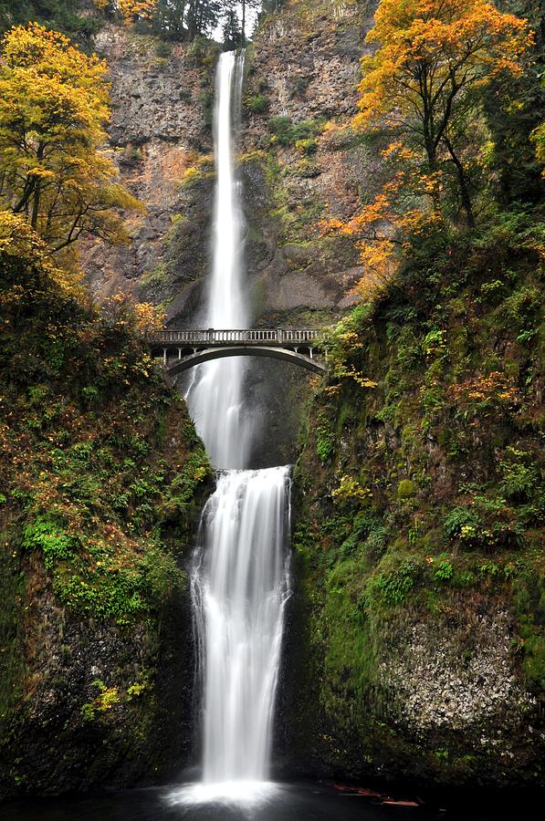 Multnomah Falls -columbia River Gorge -oregon Photograph by Pepper Link