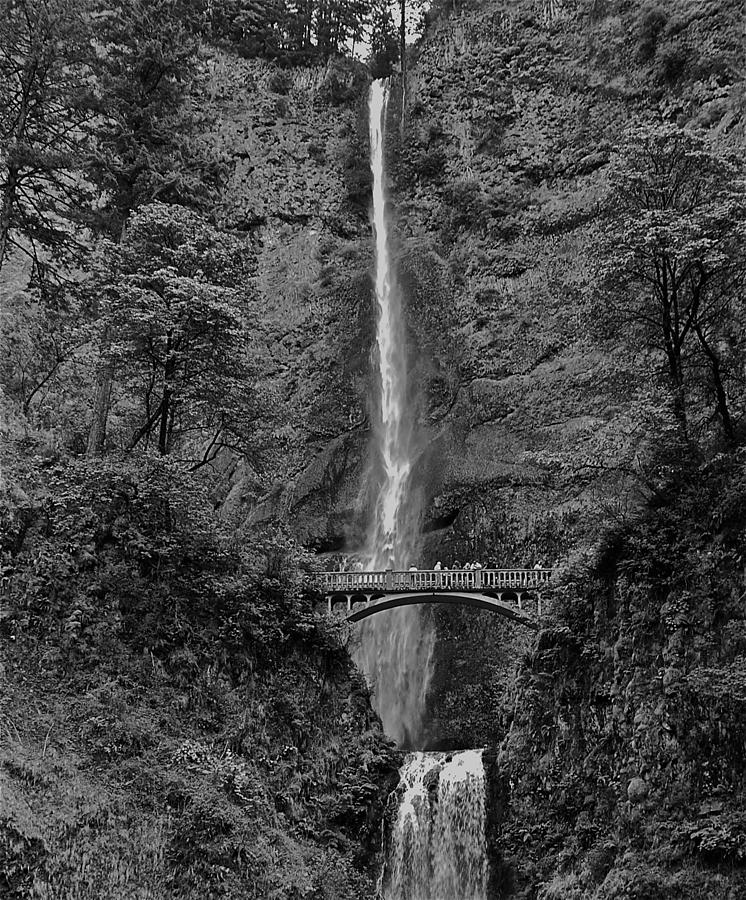 Multnomah Falls Photograph by Eric Tressler