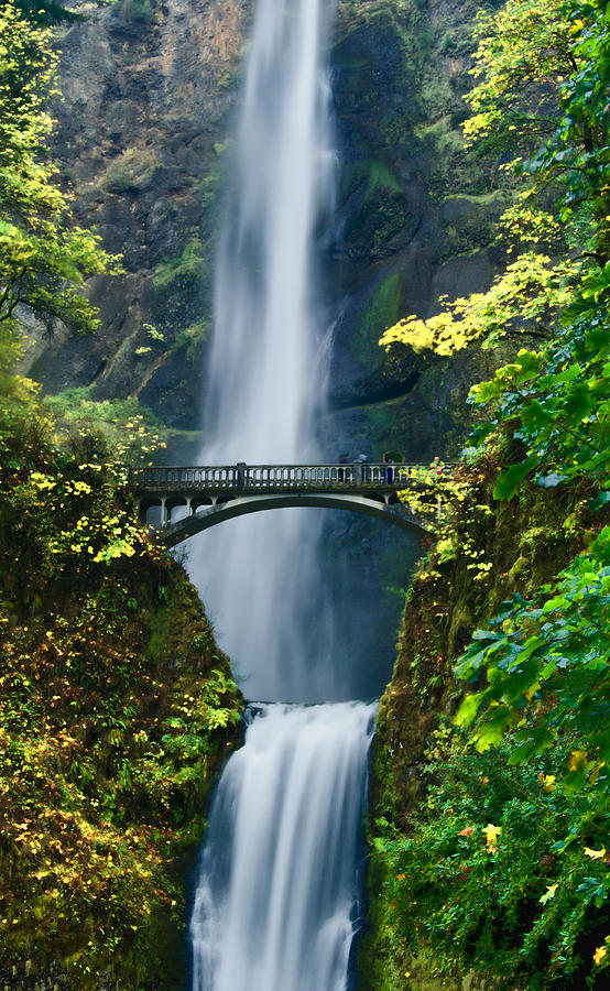 Multnomah Falls In Fall Photograph by Don Schwartz