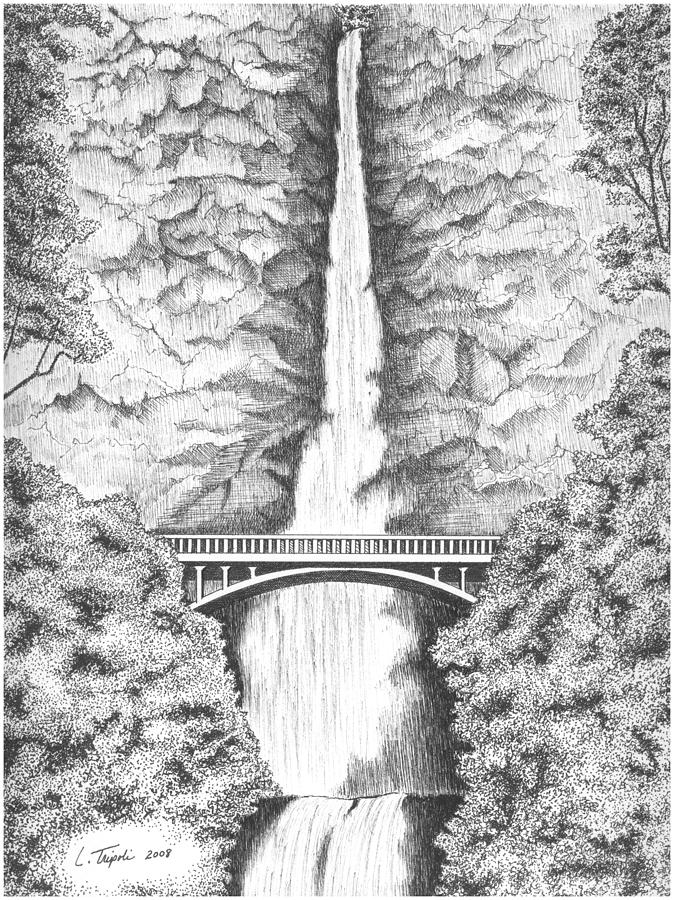Multnomah Falls Drawing by Lawrence Tripoli