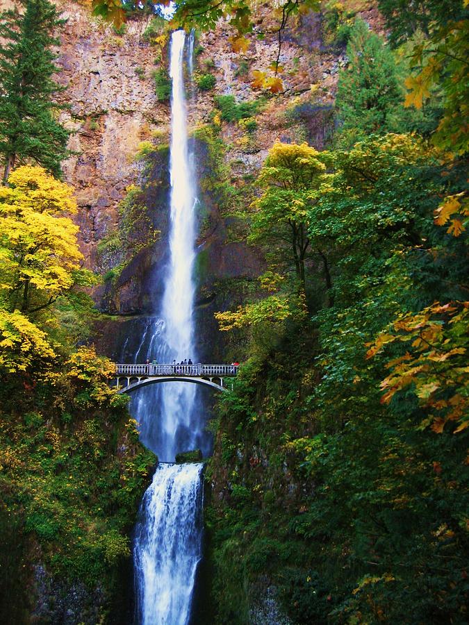 Multnomah Falls Pyrography by Nick Korstad - Fine Art America