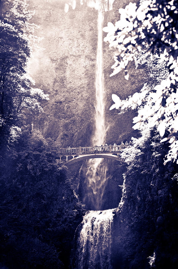 Waterfall Photograph - Multnomah Falls  by Sabrina Hall