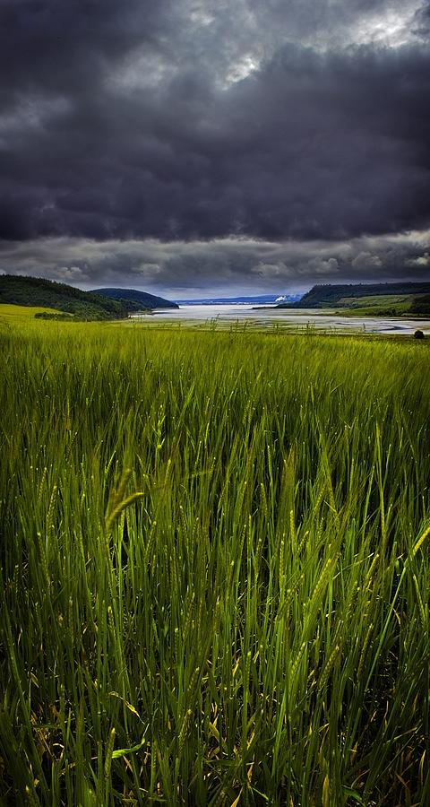 Nature Photograph - Munlochy bay by Joe Macrae