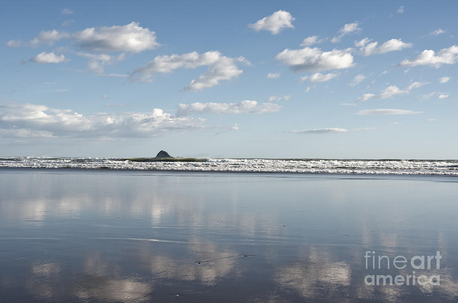 Muriwai Beach New Zealand Photograph by Yurix Sardinelly