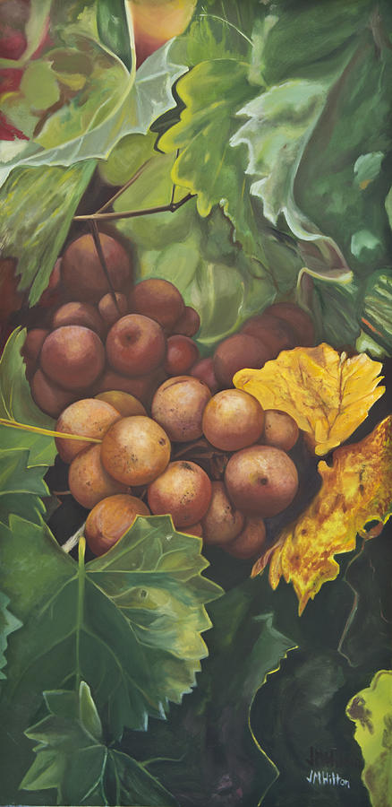 Vegetable Painting - Muscadines by Judy  Hilton