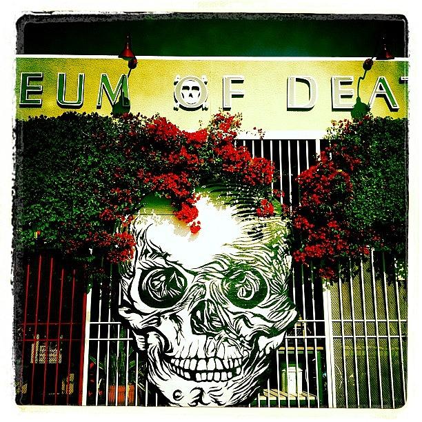 Instagram Photograph - Museum Of Death by Torgeir Ensrud