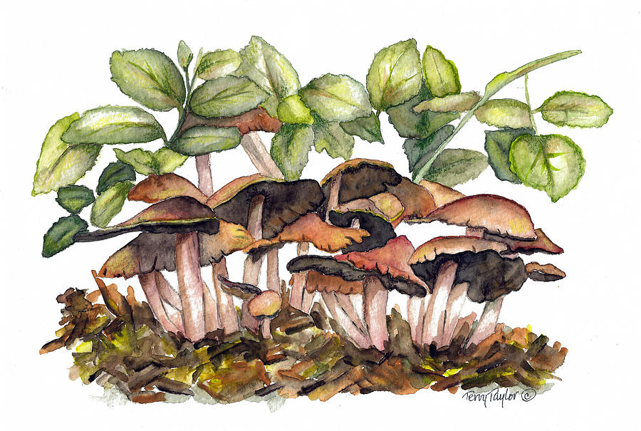 Mushroom Forest Painting by Terry Taylor