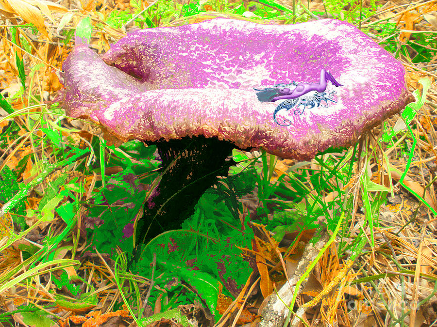 Mushroom Photograph - Mushroom Lounging Purple Pixie by Brandy Nicole Stenstrom