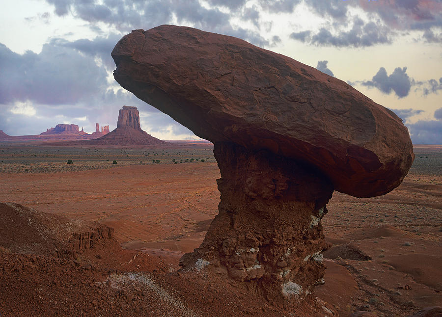 Mushroom Rock At North Window Monument Photograph by Tim Fitzharris