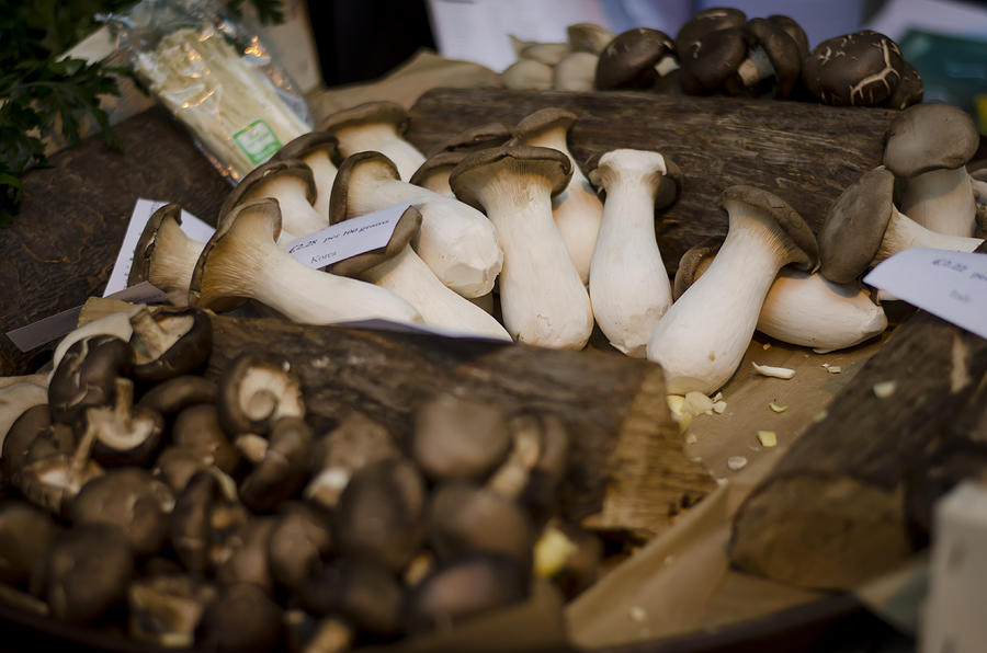 Mushroom Photograph - Mushrooms at the Market by Heather Applegate