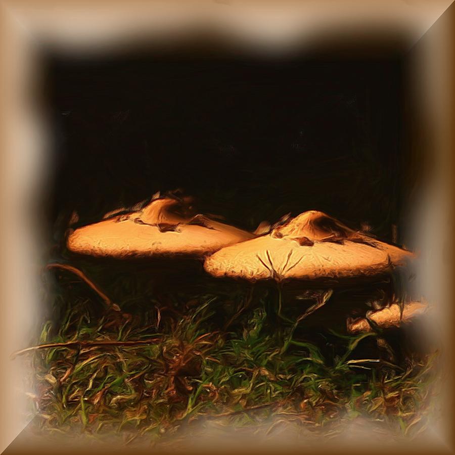 Mushroom Digital Art - Mushrooms by Karen Harrison Brown