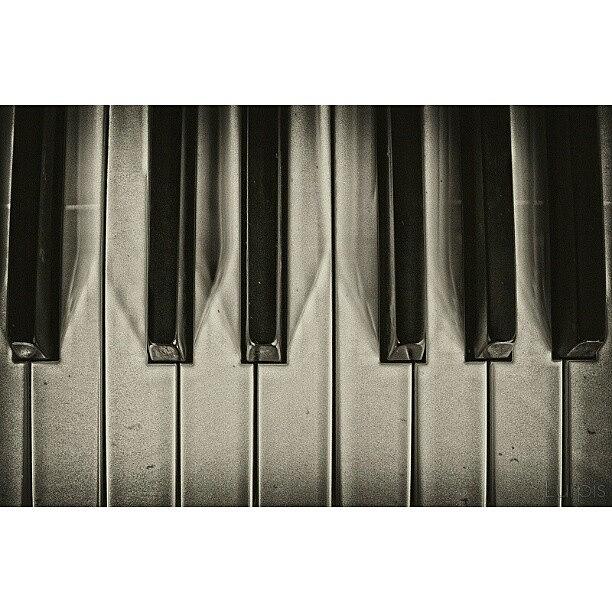 Music Photograph - Music Never Gets Too Old || Lurpis @ by Robin Hedberg