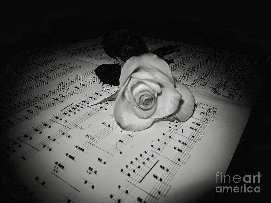 Music Rose in Black and White Photograph by Joyce Kimble Smith