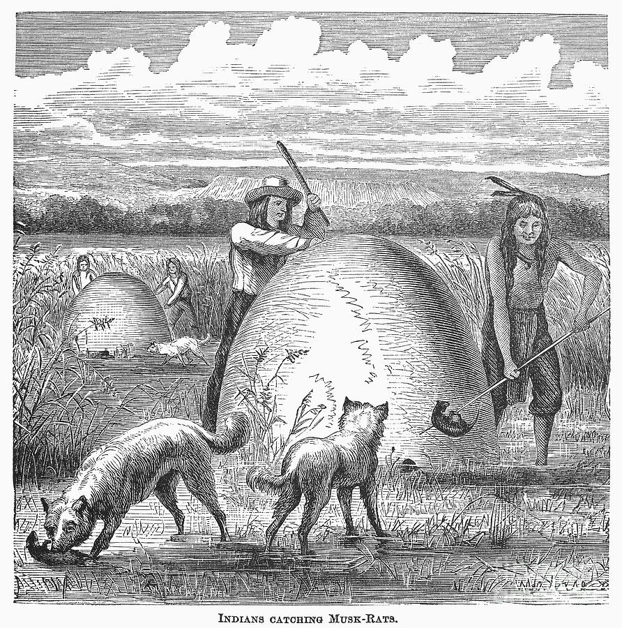 Dog Photograph - Muskrat Hunting, 1873 by Granger