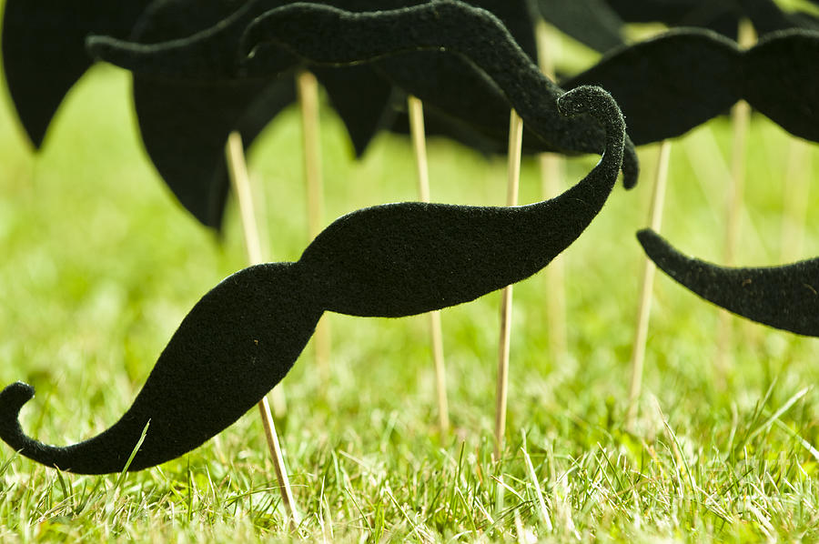 Mustache Photograph - Mustache on a stick 1 by Micah May