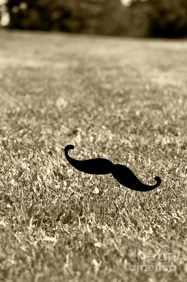 Mustache on a stick 5 Photograph by Micah May