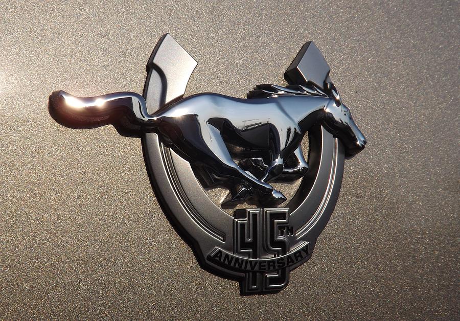 Mustang 45th Anniversary Emblem Photograph by Elizabeth Sullivan
