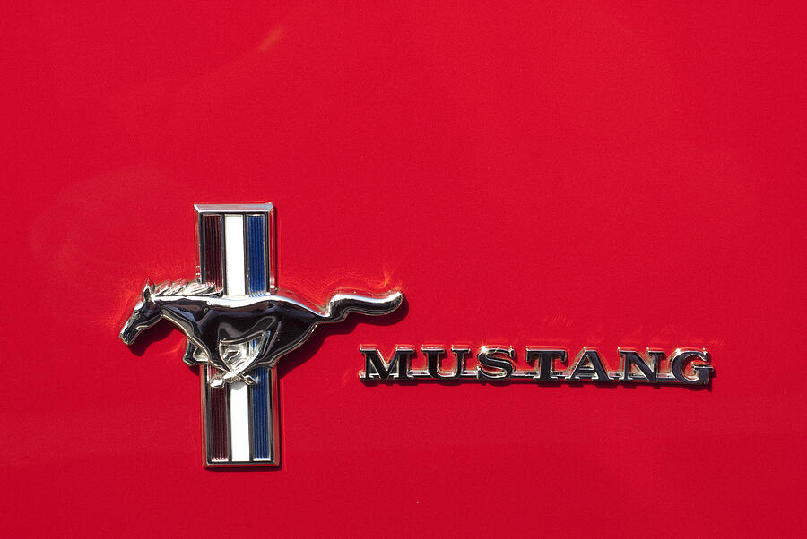 Mustang Photograph by Paul W Faust -  Impressions of Light