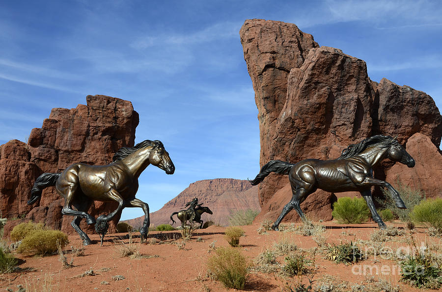 Mustangs On The Run Photograph by Bob Christopher
